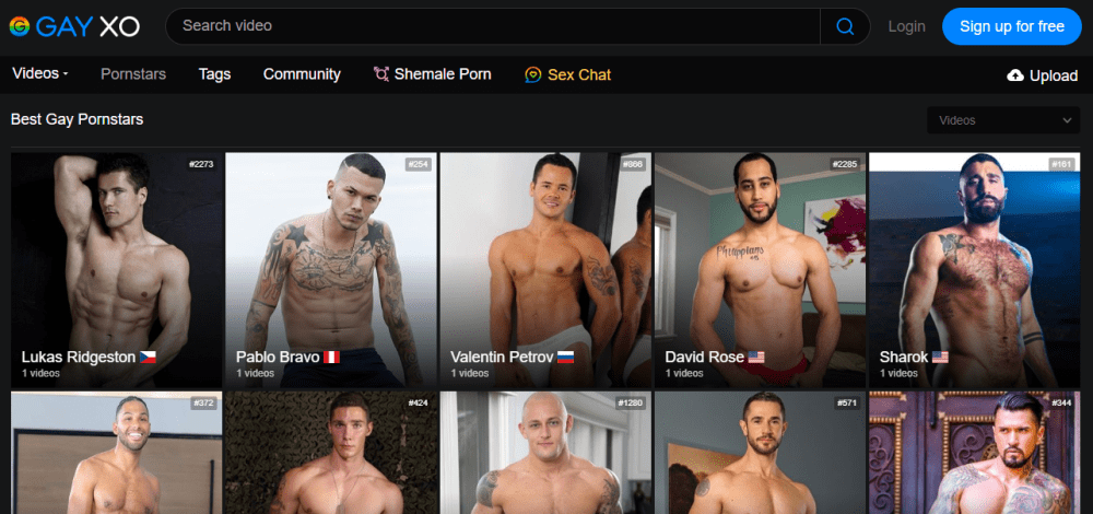 Best Gay Pornstars